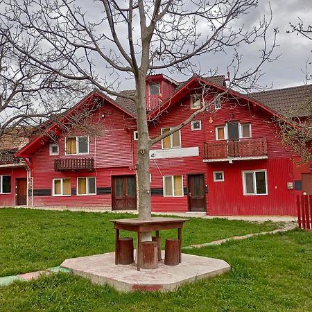 Pensiunea Irina 3 Zărneşti Zewnętrze zdjęcie