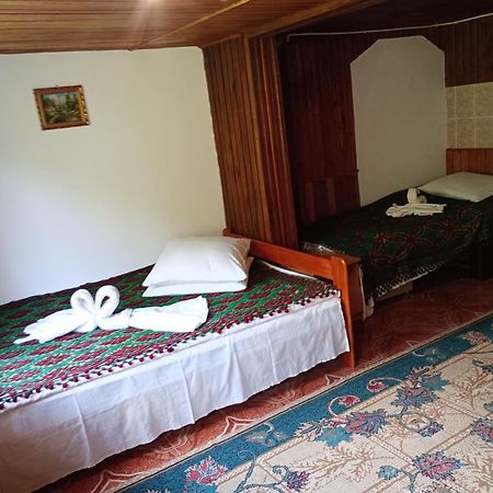 Pensiunea Irina 3 Zărneşti Zewnętrze zdjęcie