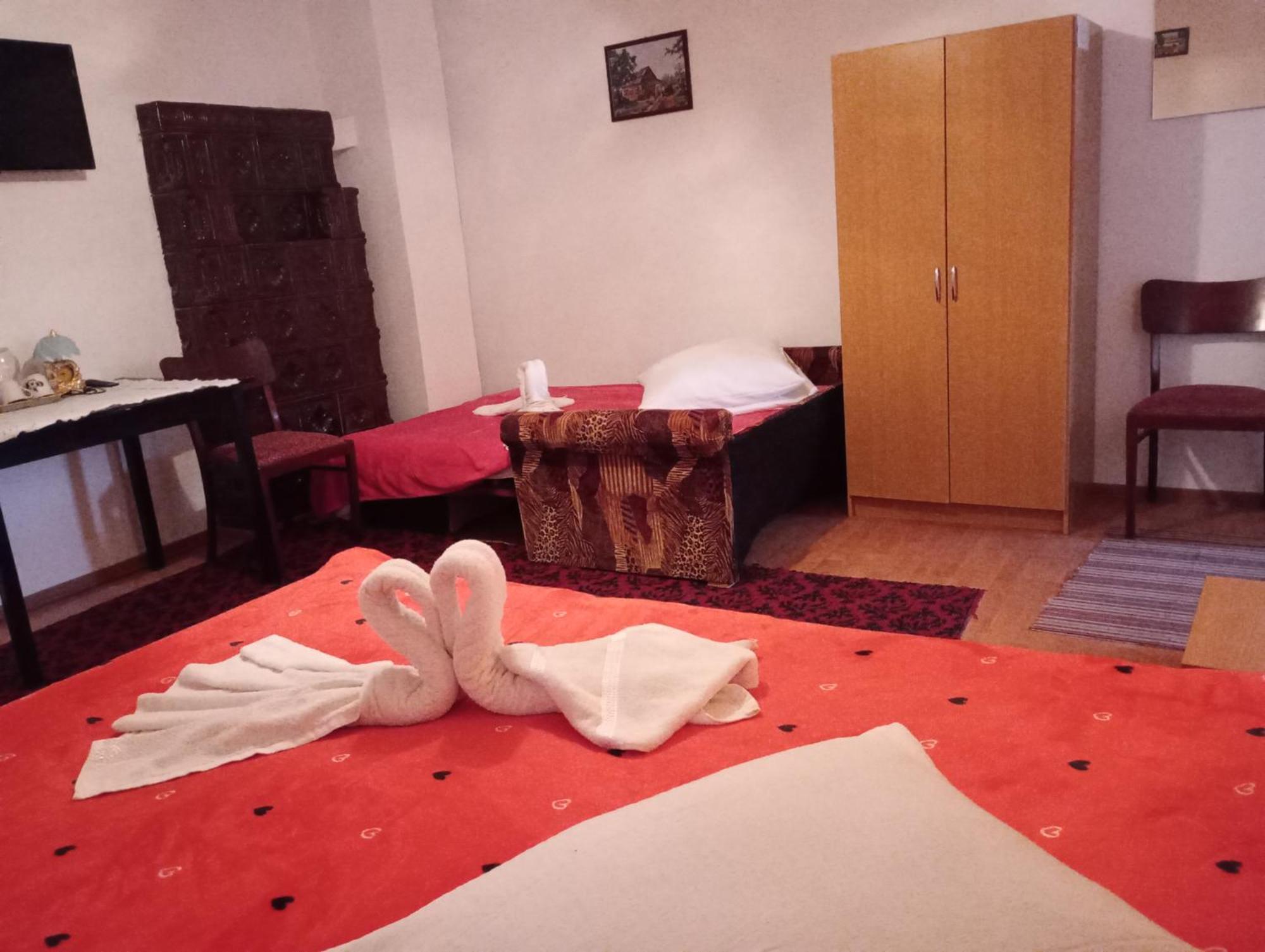 Pensiunea Irina 3 Zărneşti Zewnętrze zdjęcie