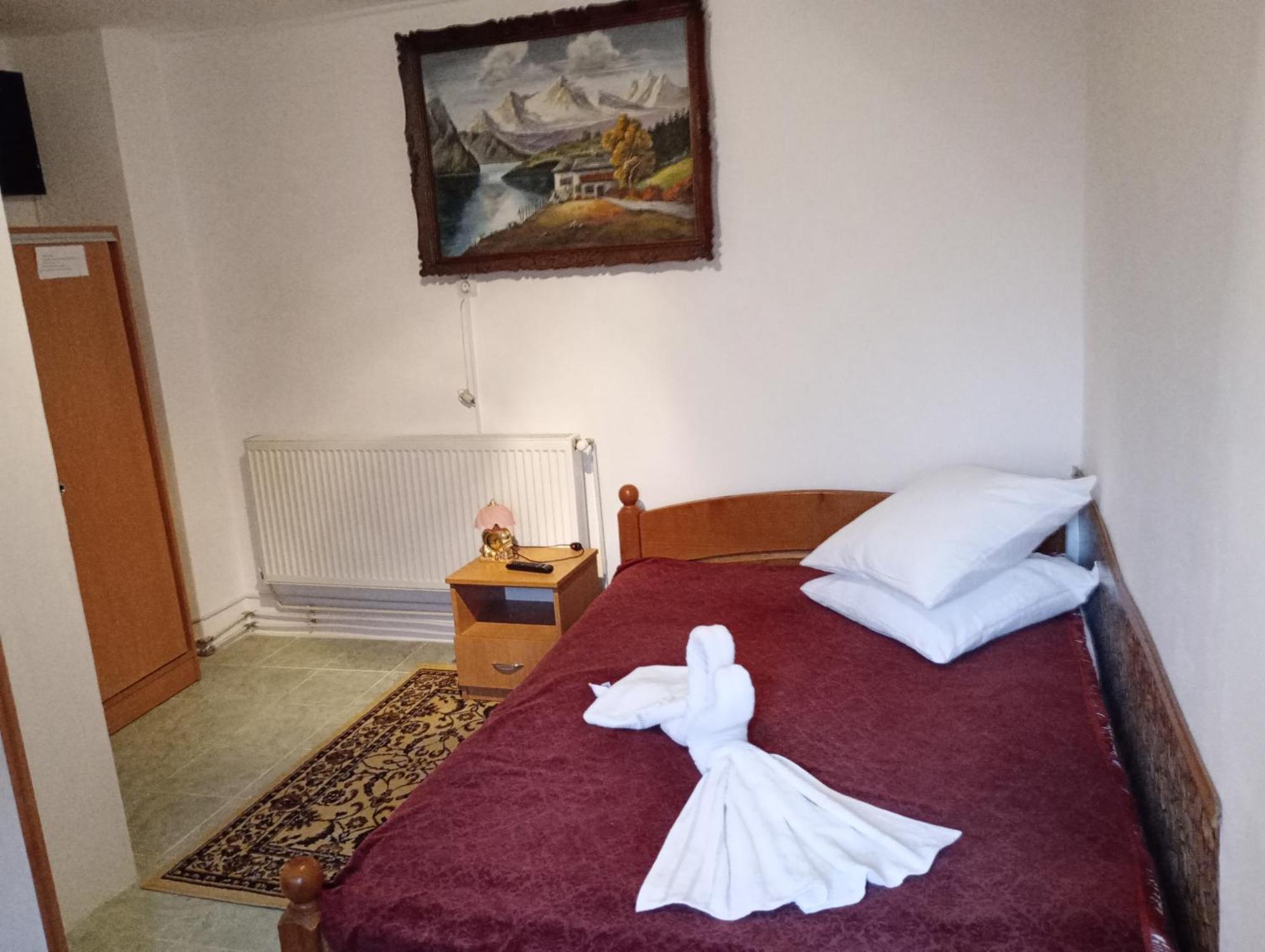 Pensiunea Irina 3 Zărneşti Zewnętrze zdjęcie