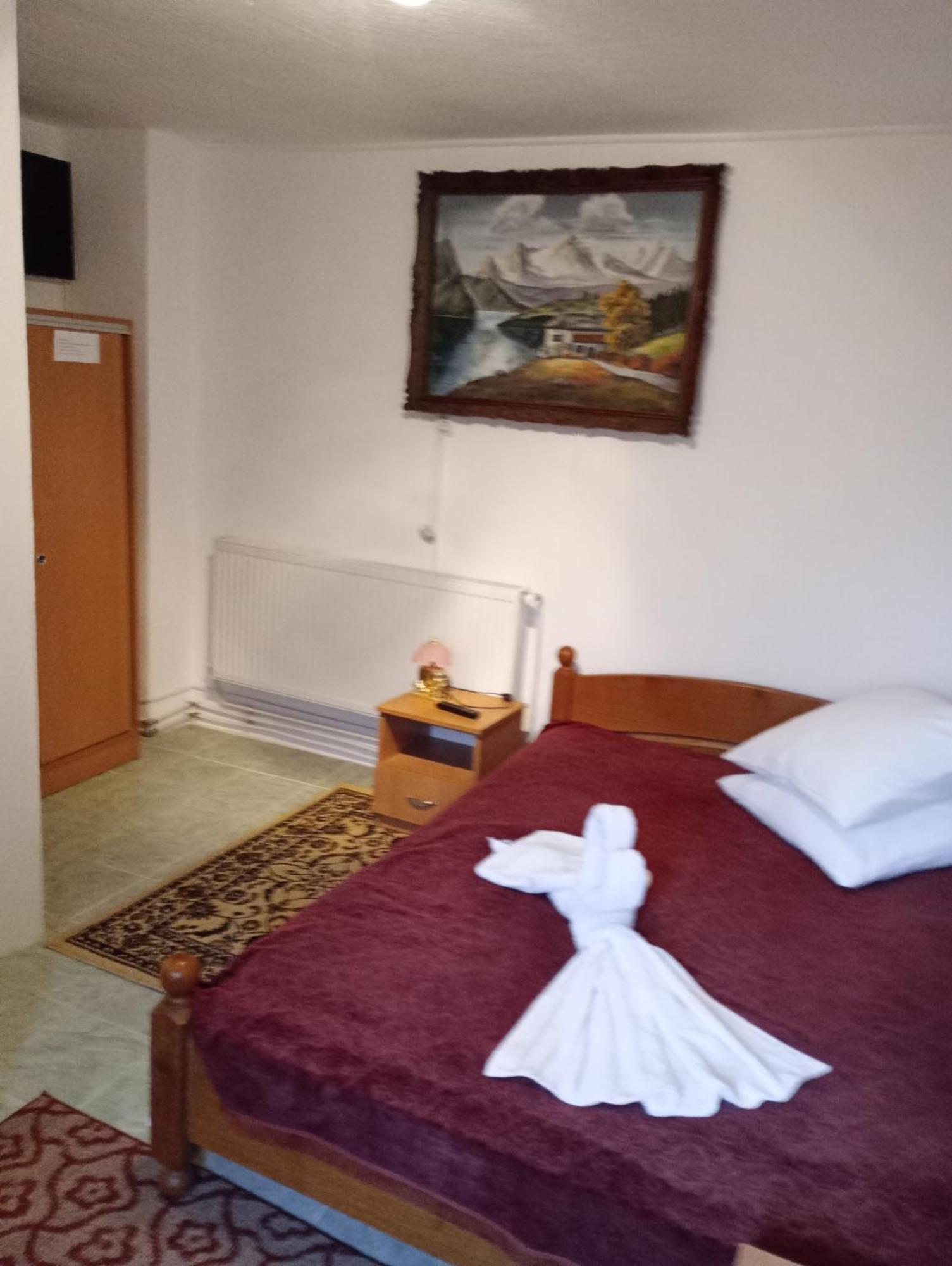 Pensiunea Irina 3 Zărneşti Zewnętrze zdjęcie