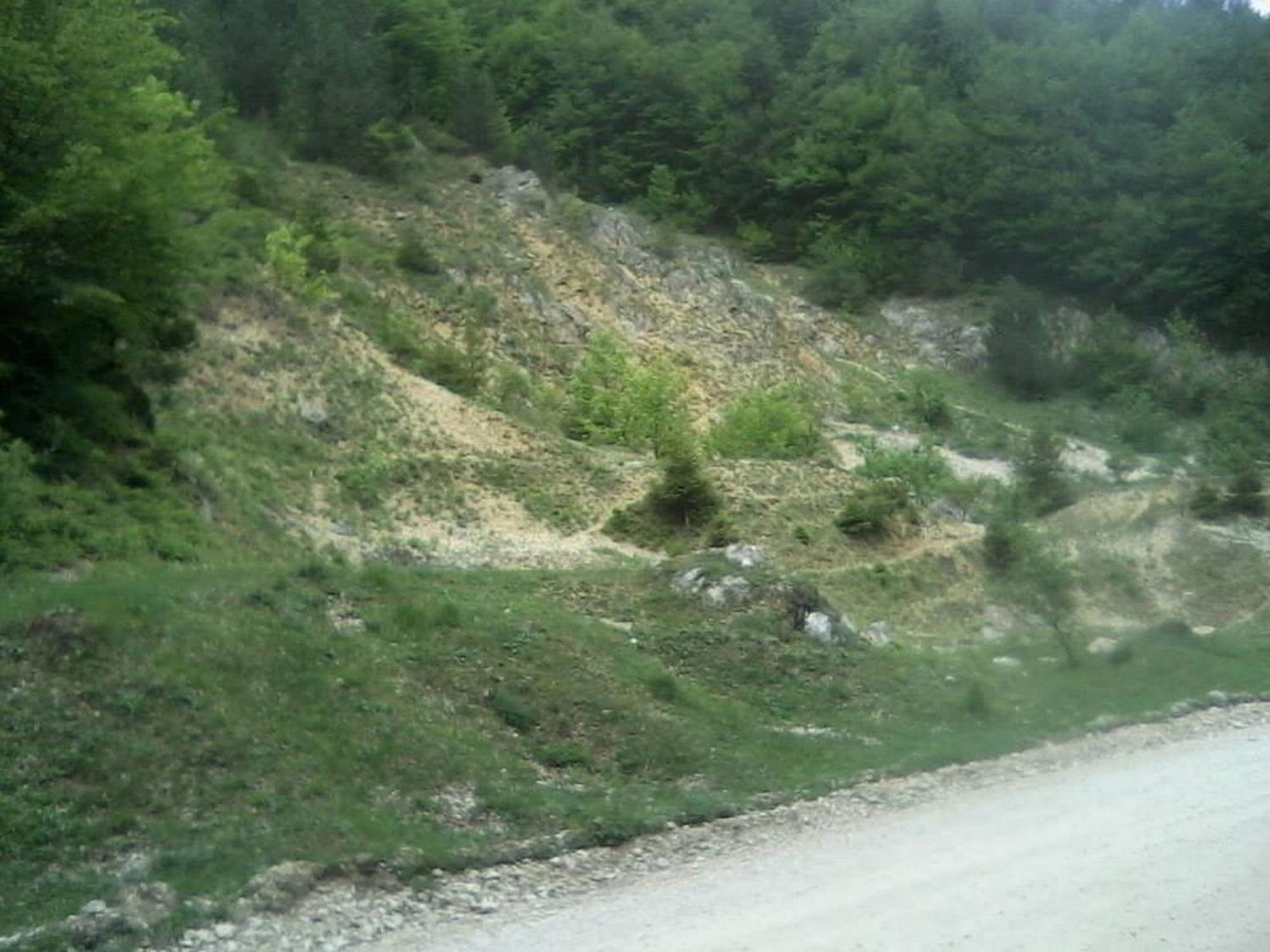 Pensiunea Irina 3 Zărneşti Zewnętrze zdjęcie