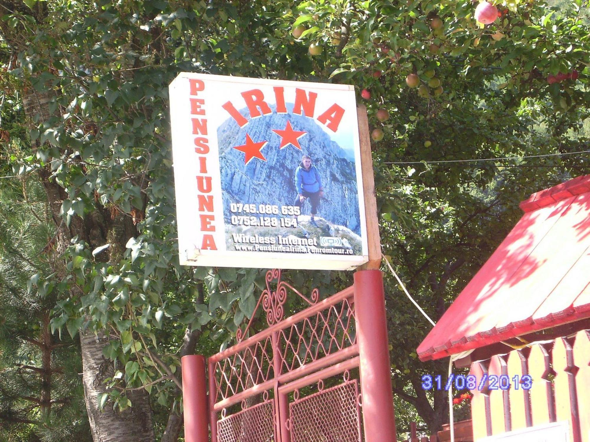Pensiunea Irina 3 Zărneşti Zewnętrze zdjęcie