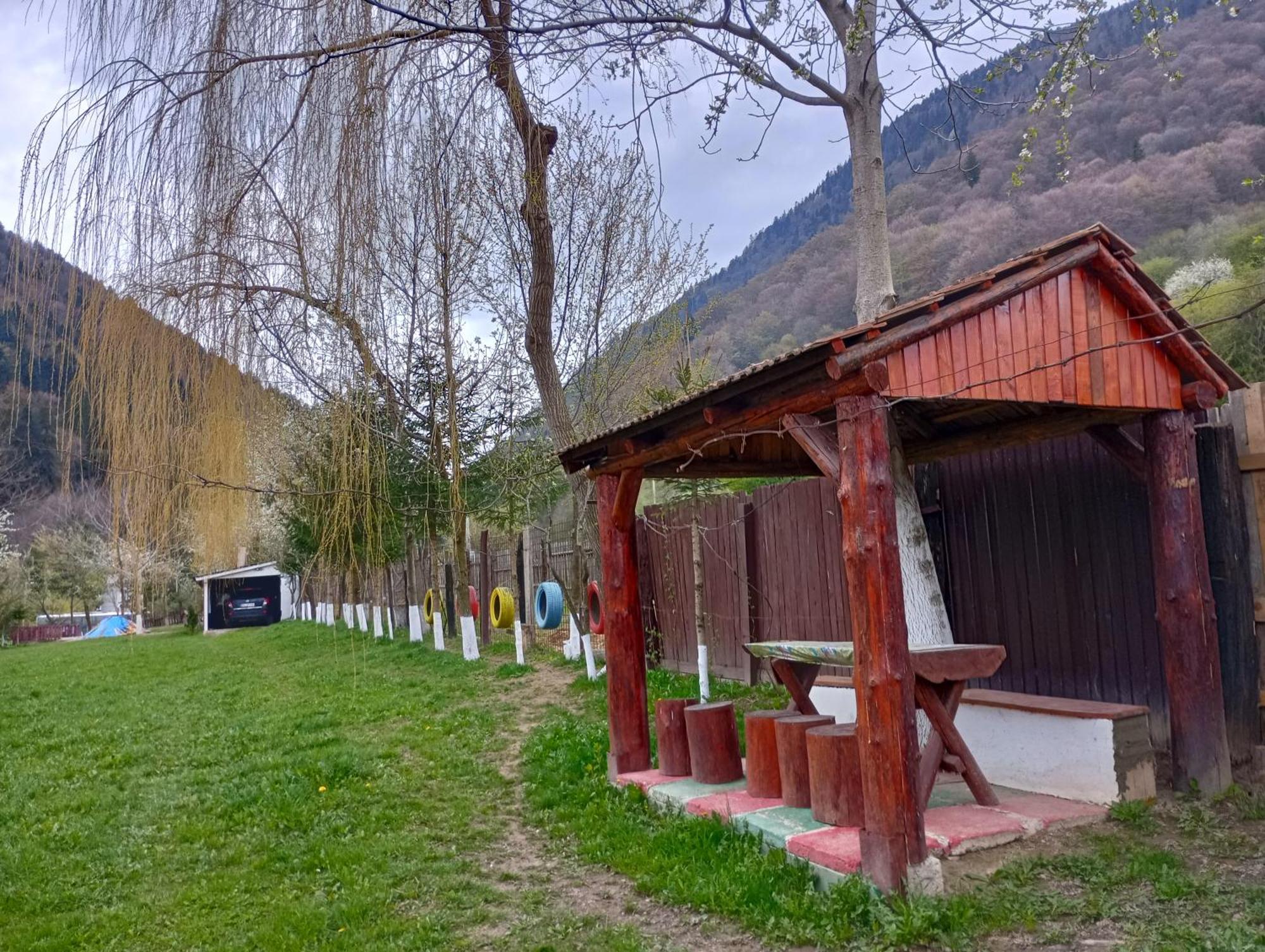 Pensiunea Irina 3 Zărneşti Zewnętrze zdjęcie