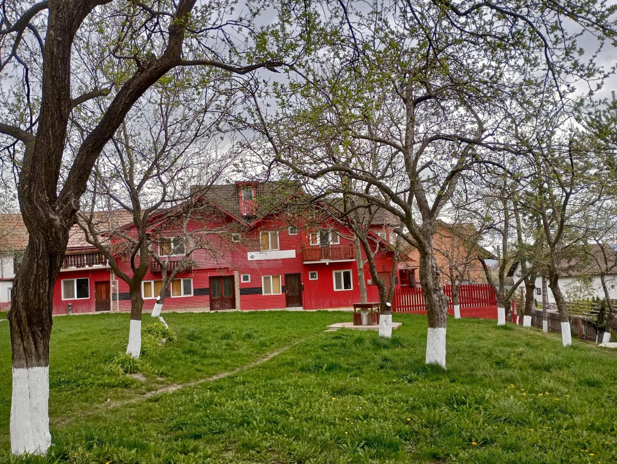 Pensiunea Irina 3 Zărneşti Zewnętrze zdjęcie