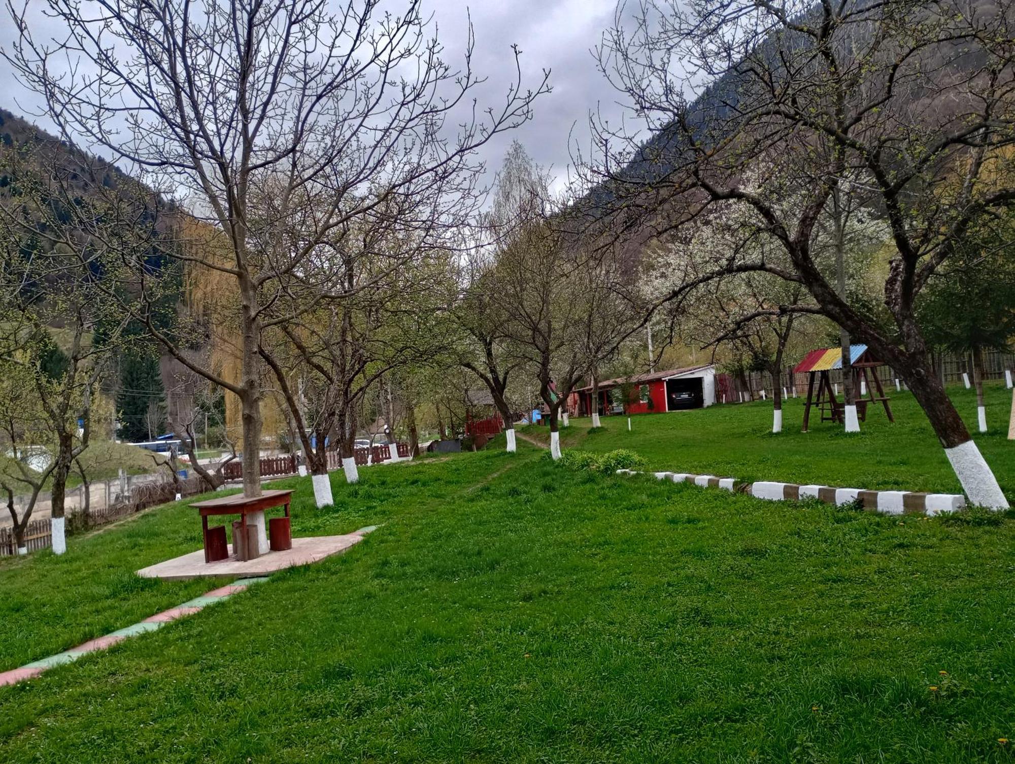 Pensiunea Irina 3 Zărneşti Zewnętrze zdjęcie